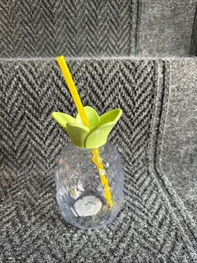 Sun Squad Plastic Pineapple Figural Tumbler